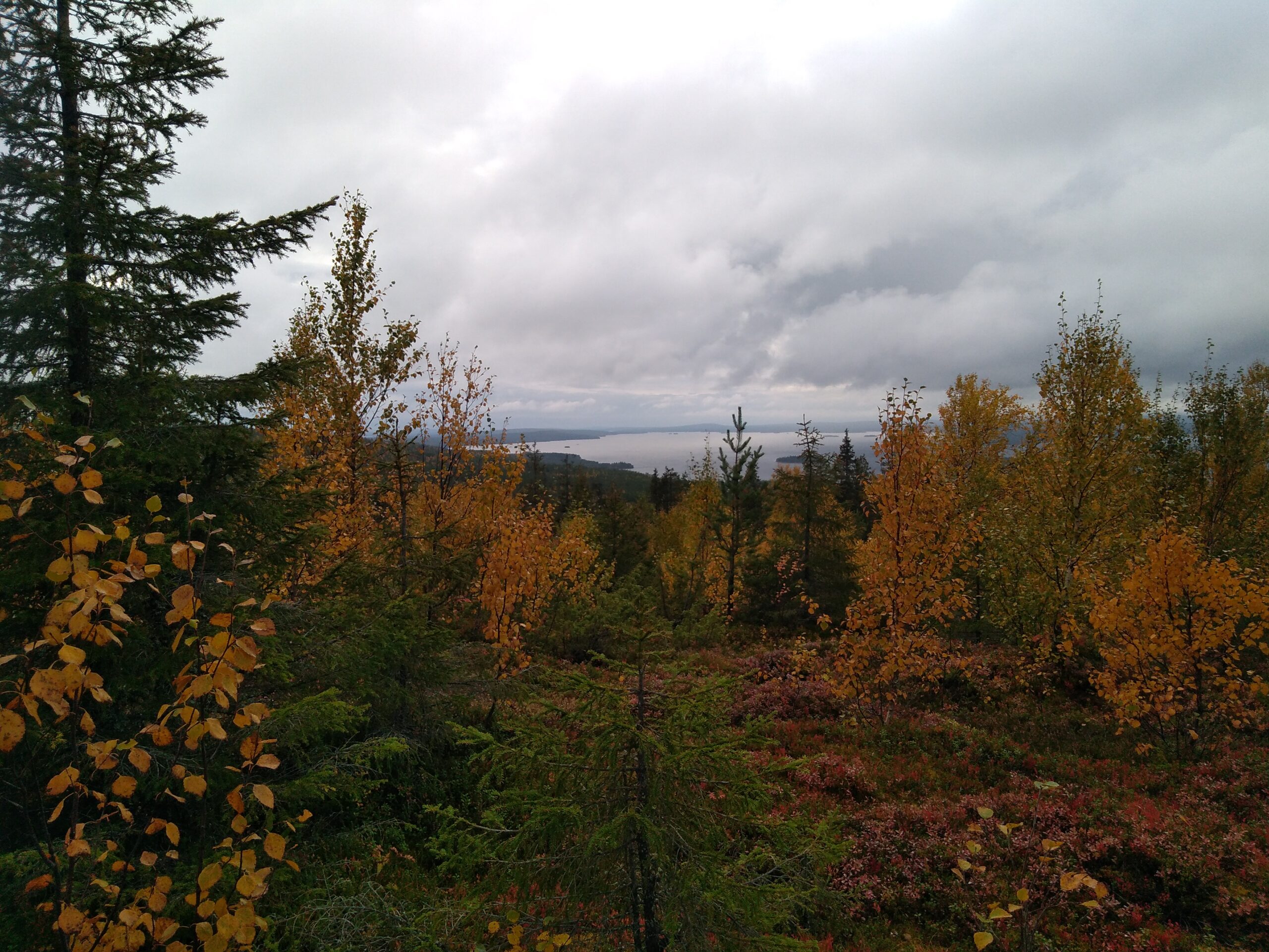 Soivat selkoset - things to do Ruka-Kuusamo