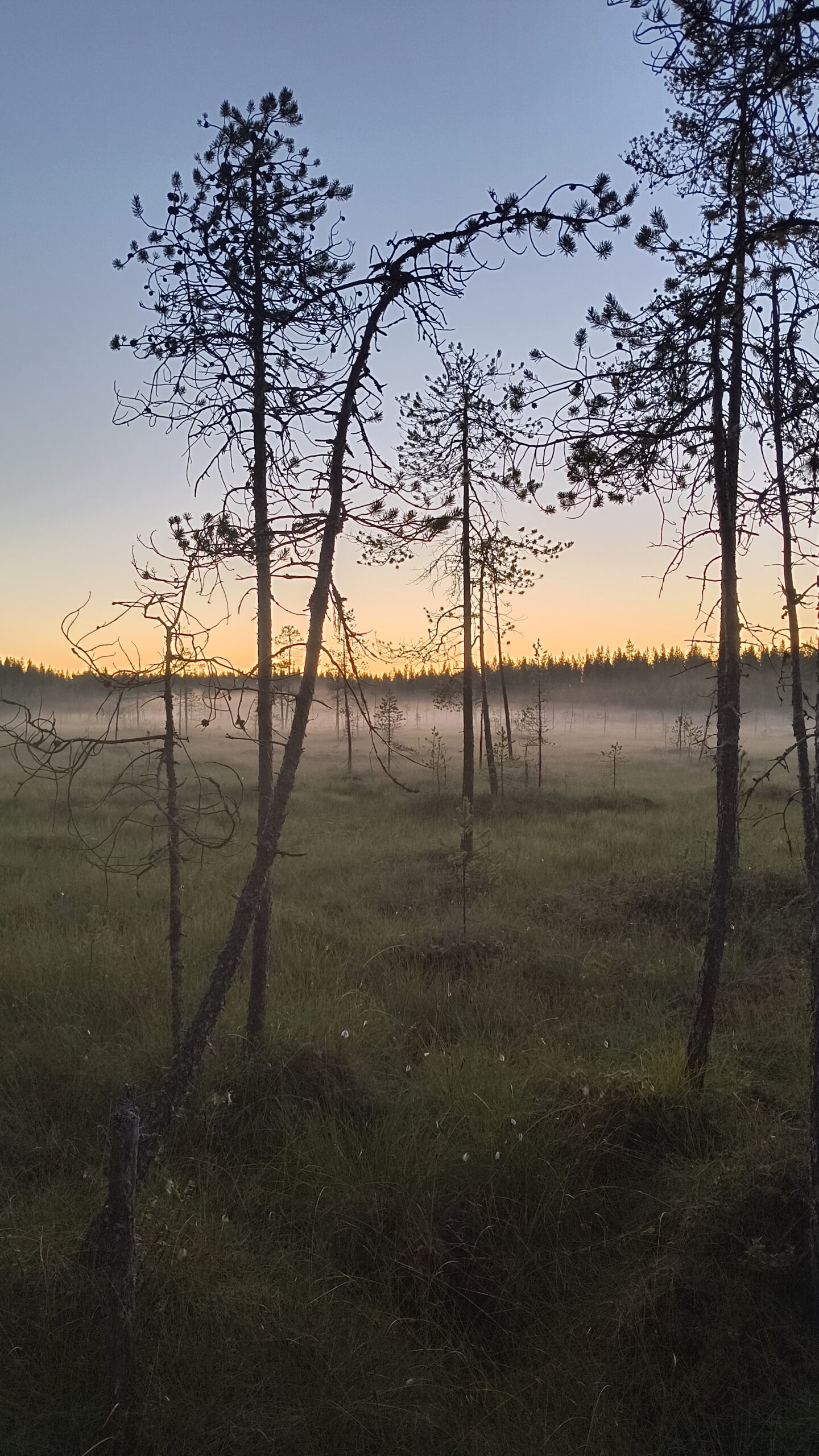 Soivat selkoset elämys- Ruka-Kuusamo