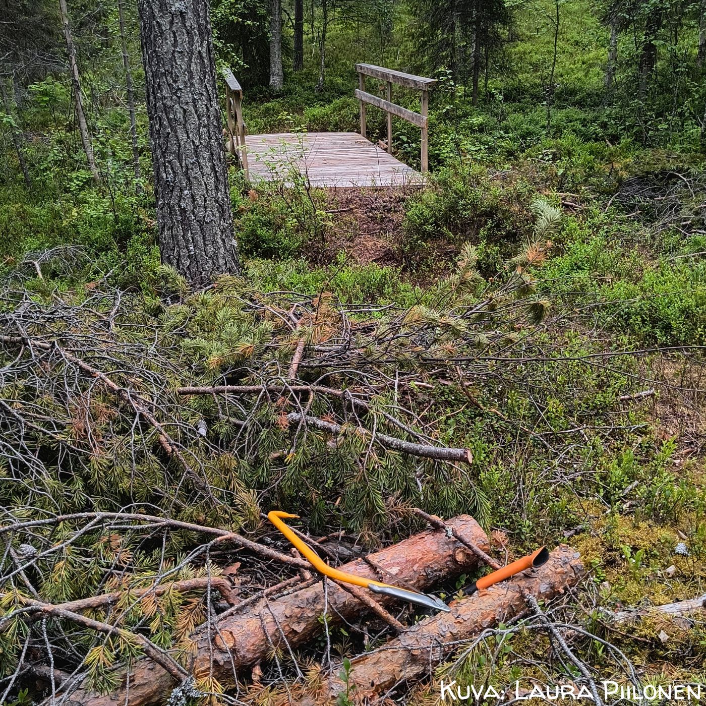 Luonnonmateriaalit jouluelämyksen rekvisiittana Ruka-Kuusamo, Suomi