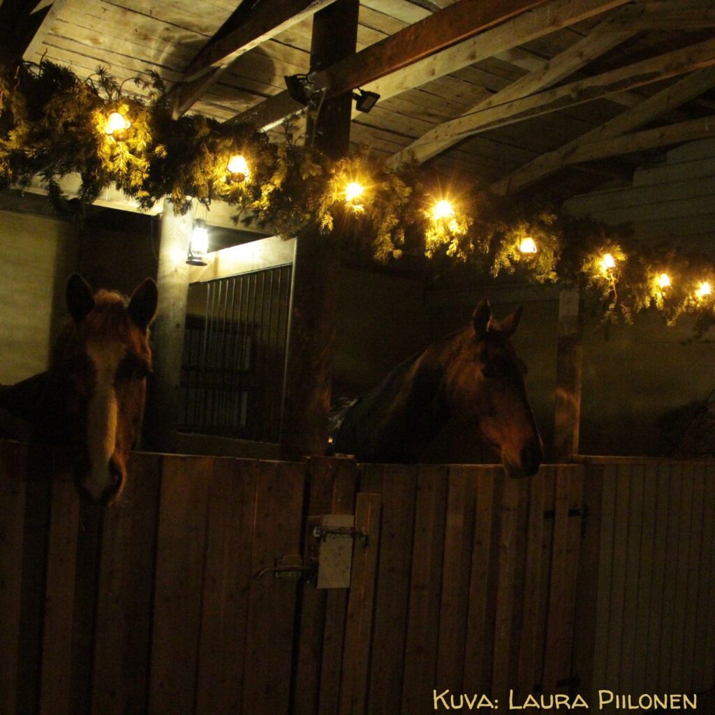 Things to do in Ruka-Kuusamo-Finland, Christmass