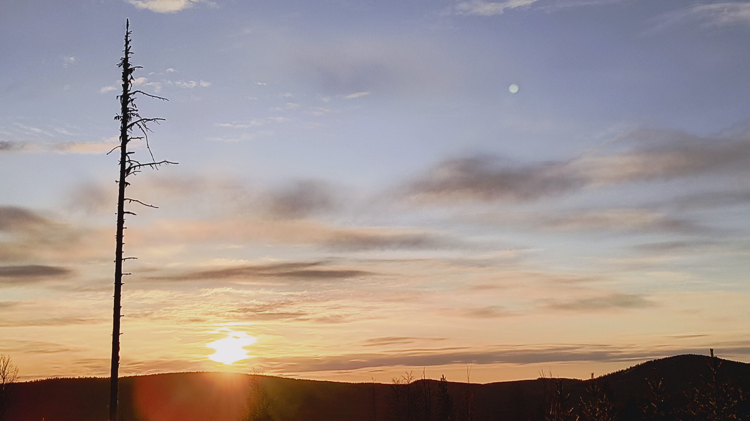 Koillismaalainen vaaramaisema toukokuun aamuauringossa